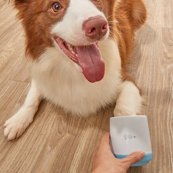 

Pet Shower & Bath Accessories, Blue and white