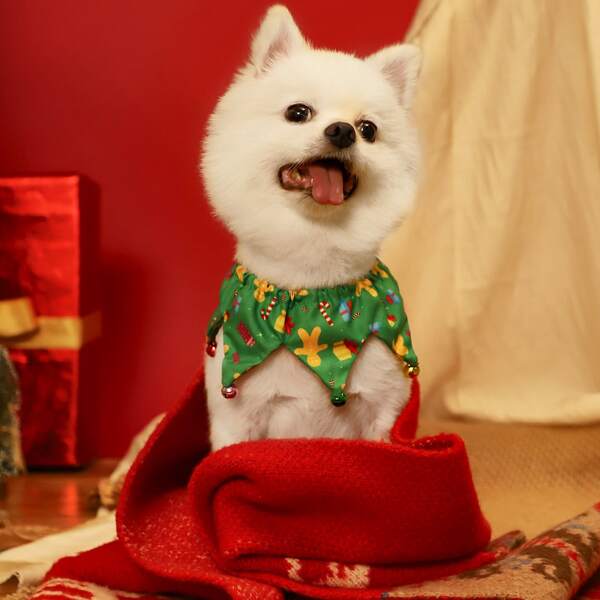 

Christmas Pattern Pet Collar, Multicolor
