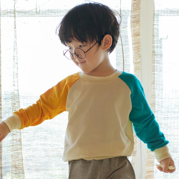 

Toddler Boys 1pc Patch Detail Raglan Sleeve Colorblock Sweatshirt, Beige