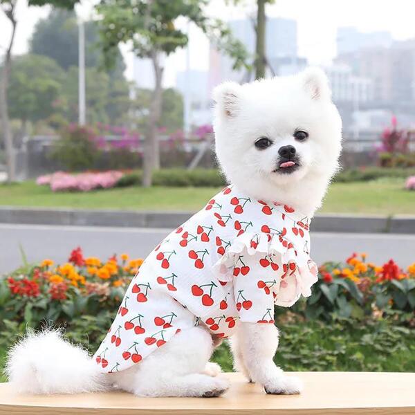 

Cherry Print Pet Tee, White