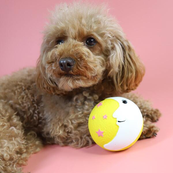 

1pc Moon Print Random Pet Chew Toy, Multicolor