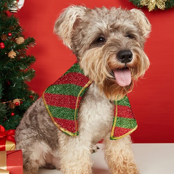 

Christmas Color Block Pet Costume, Multicolor