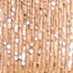 Champagne