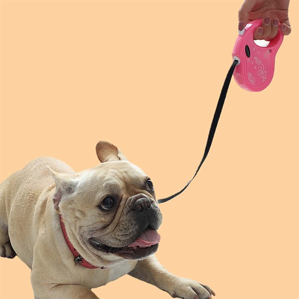 

1pc Random Color Pet Leash, Multicolor