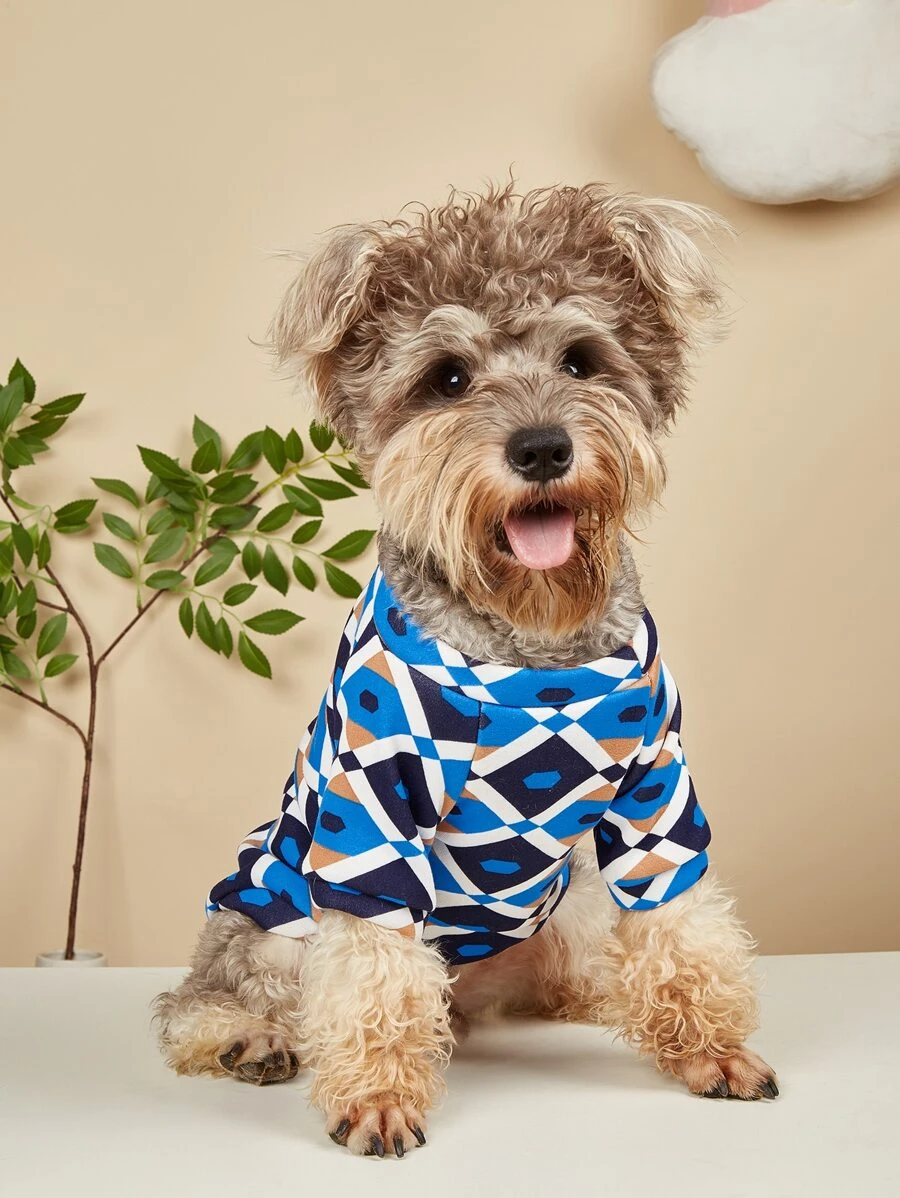 幾何樣式寵物運動衫 - 彩色 - 查看 1
