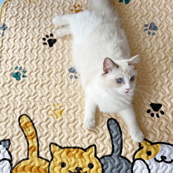

Cat Print Pet Mat, Multicolor