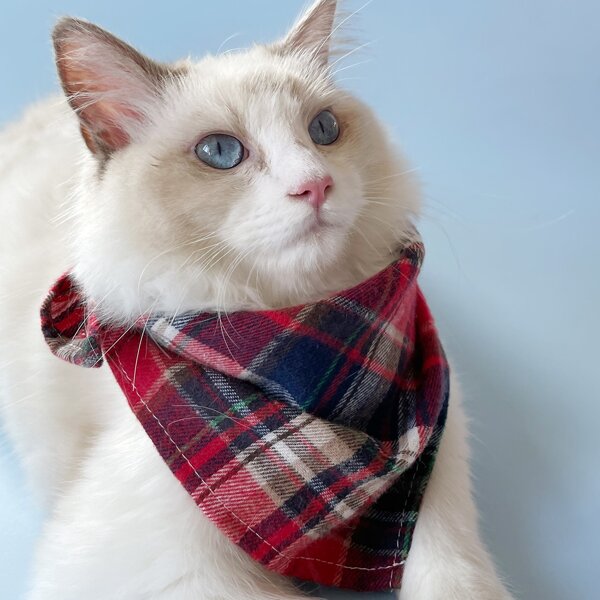 

Plaid Pattern Pet Bandana, Multicolor