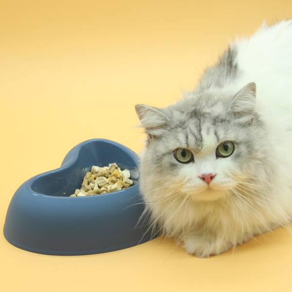 

Heart Shaped Pet Bowl, Navy blue
