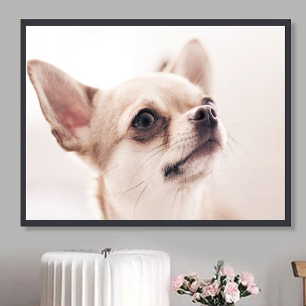 

Dog Print DIY Diamond Unframed Painting, Multicolor