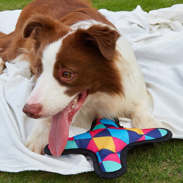 

1pc Geometric Pattern Pet Sound Toy, Multicolor