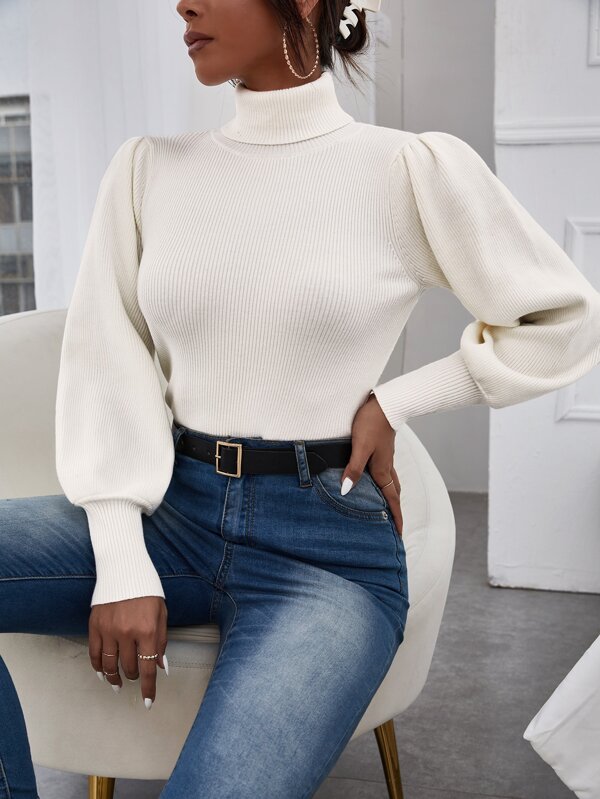 SHEIN Privé Solid Bishop Sleeve Turtle Neck Sweater,Long Sleeve Tops In Fall/Winter