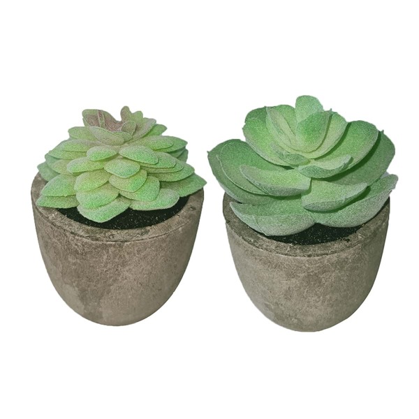 

2pcs Artificial Potted Succulents, Green