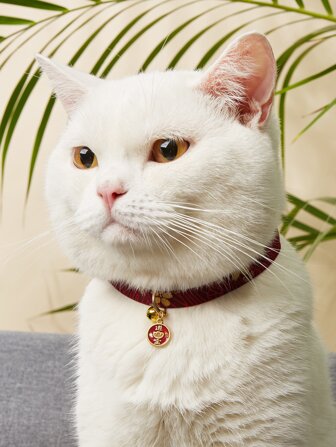 1 st hängande husdjurshalsband