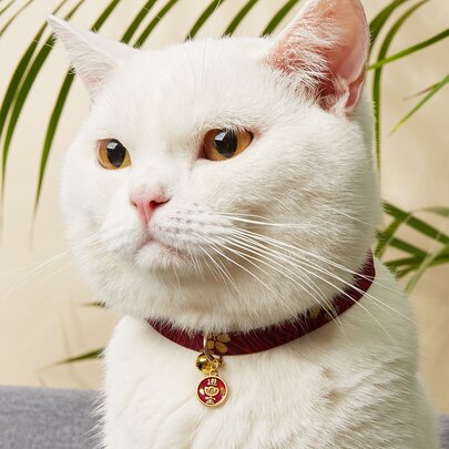 1pc Mặt dây chuyền cổ áo cho thú cưng