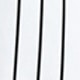 trắng