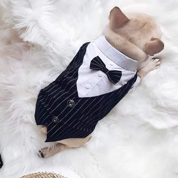 

1pc Striped Print Pet Shirt, Black and white