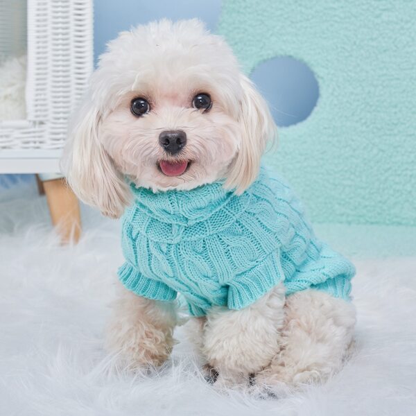 

Solid Color Pet Sweater, Mint green