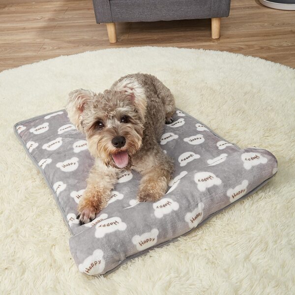 

Letter Graphic Plush Pet Mat, Multicolor