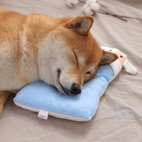 

1pc Cartoon Graphic Pet Pillow, Multicolor