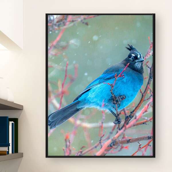 

Bird Print DIY Diamond Unframed Painting, Multicolor