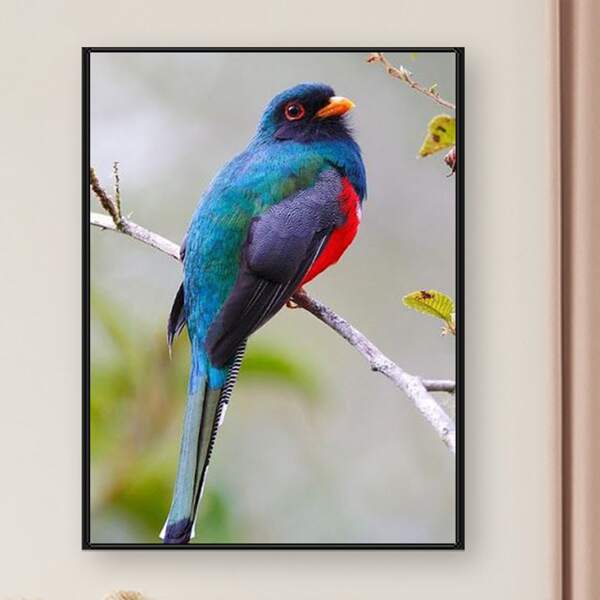 

Bird Print DIY Diamond Unframed Painting, Multicolor