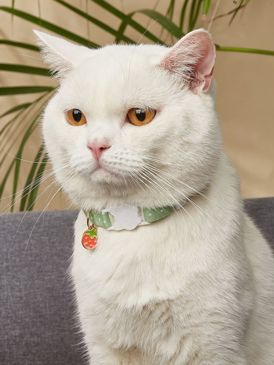 1只寵物項圈,帶彩虹吊墜