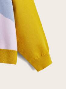 SHEIN EZwear Áo len Plus Size Khối Màu Hoa Giải trí - Nhiều màu - Xem 4