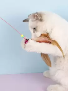 1pc Feather Detail Cat Teaser Stick, Cat Interactive Fishing Pole Toys For Indoor Cats To Play Chase Exercise With Bell - View 3