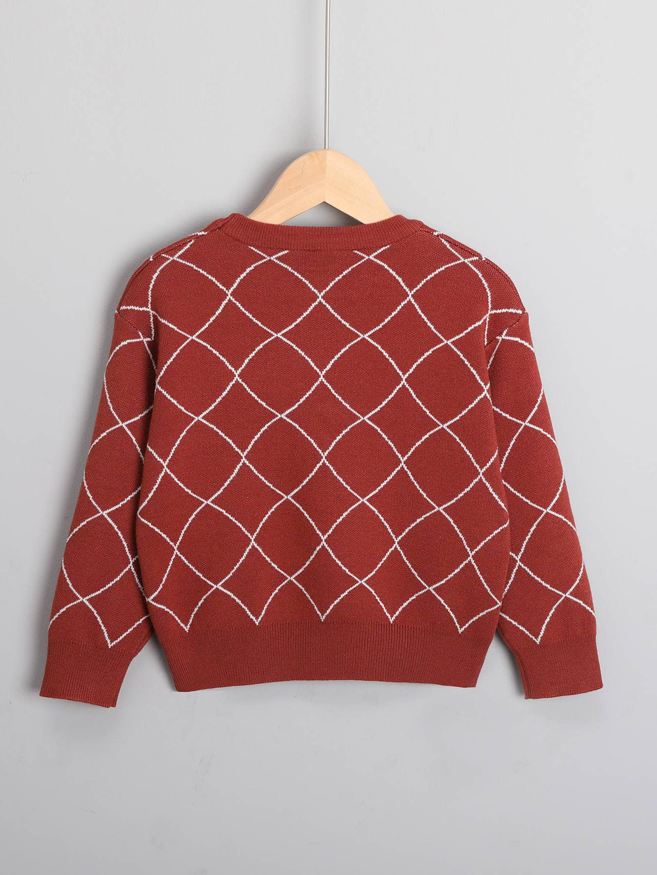 Young Boy Allover Pattern Drop Shoulder Sweater