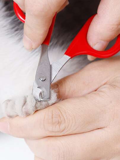 1 Stück Nagelclip Haustier