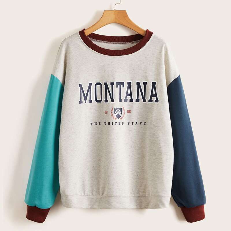 

Letter Colorblock Drop Shoulder Sweatshirt, Multicolor