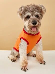 无袖宠物背心，印有蛋糕和生日快乐英文图案，适合春夏穿着，适用于狗狗/猫咪。 - 橘色 - 查看 4