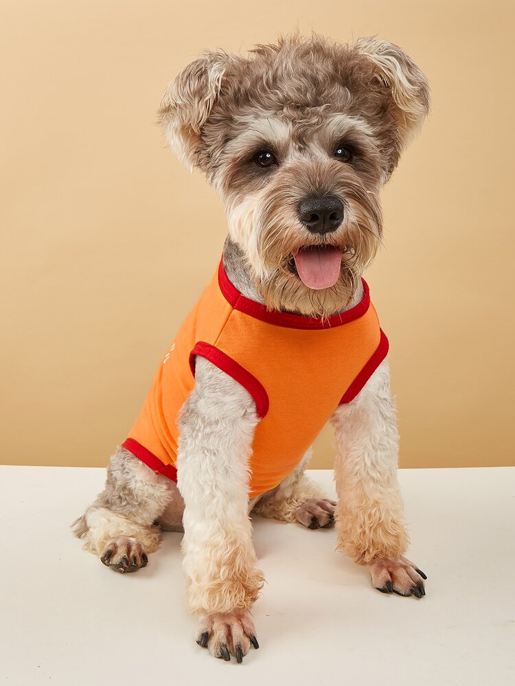 无袖宠物背心，印有蛋糕和生日快乐英文图案，适合春夏穿着，适用于狗狗/猫咪。 - 橘色 - 查看 4