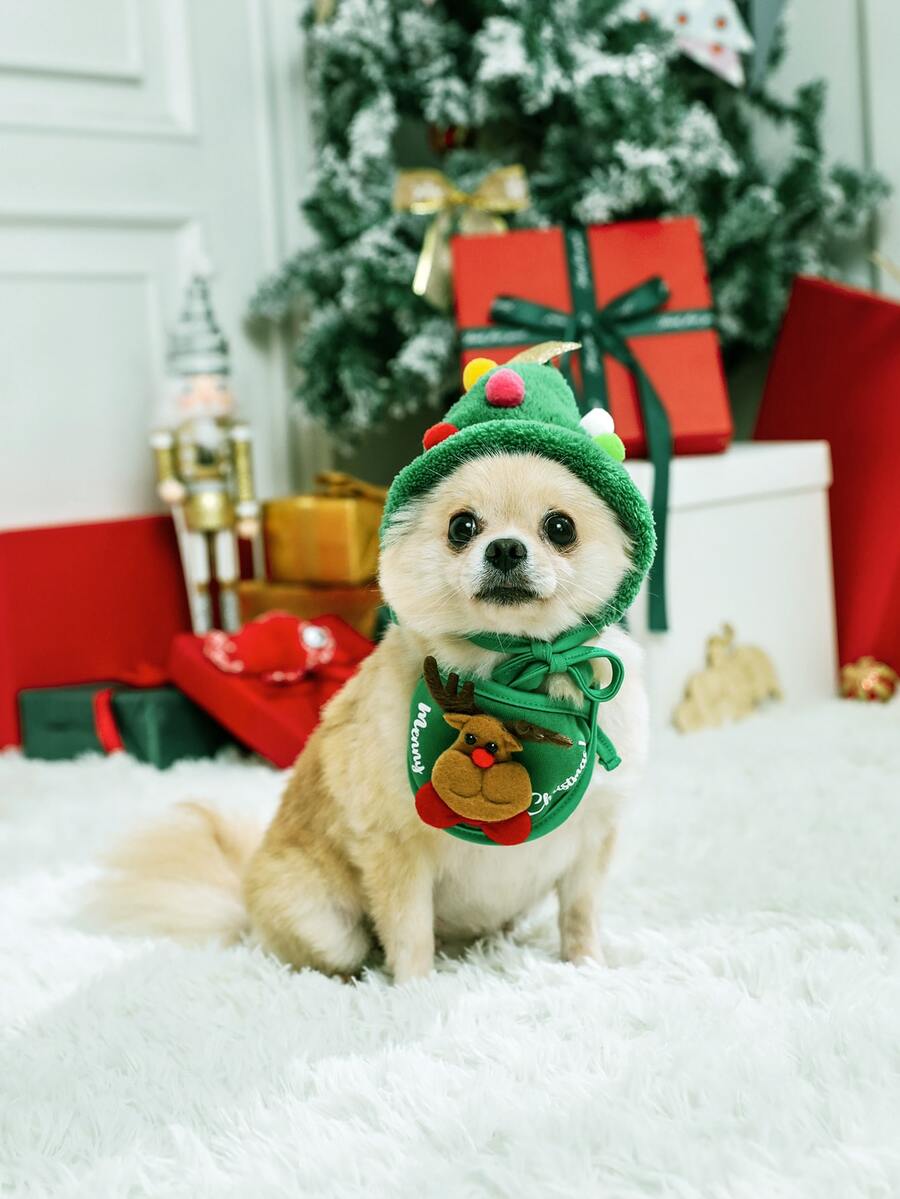 2pcs Pet Christmas Hat & Bib Set - Multicolor - View 1