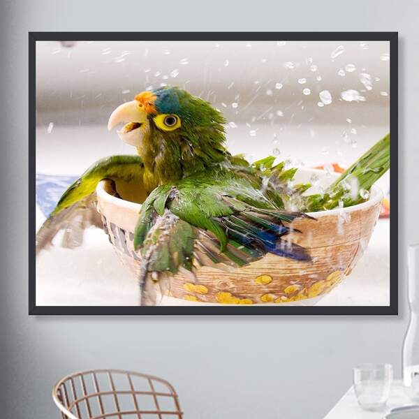 

Parrot Pattern DIY Diamond Painting Without Frame, Multicolor