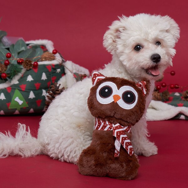 

Owl Shaped Pet Sound Toy, Multicolor
