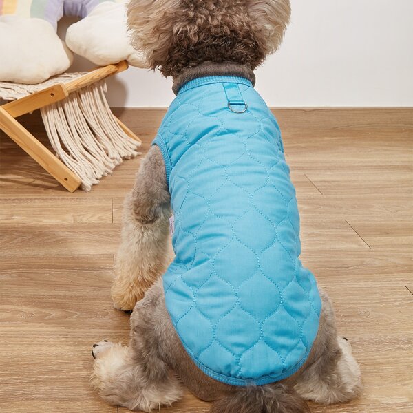 

Solid Color Pet Coat, Blue