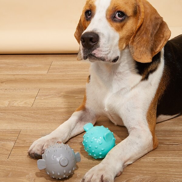 

2pcs Pet Sound Toy, Multicolor