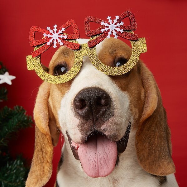 

Christmas Decorative Pet Glasses, Multicolor