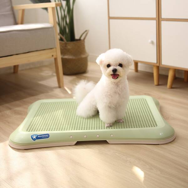 

1pc Plain Pet Toilet, Green