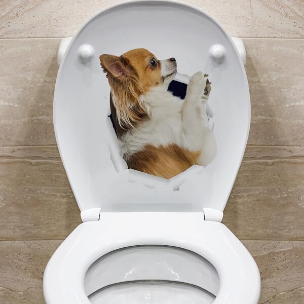 

1pc Dog Print Toilet Lid Sticker, Multicolor