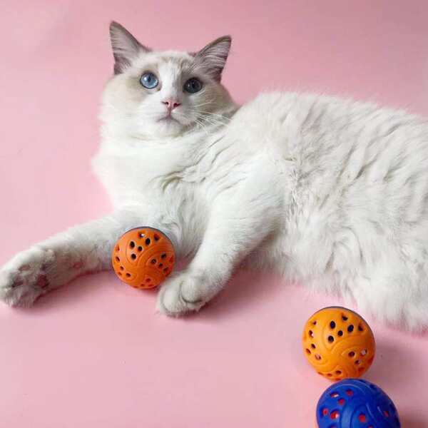 

1pc Random Color Pet Chasing Ball, Multicolor