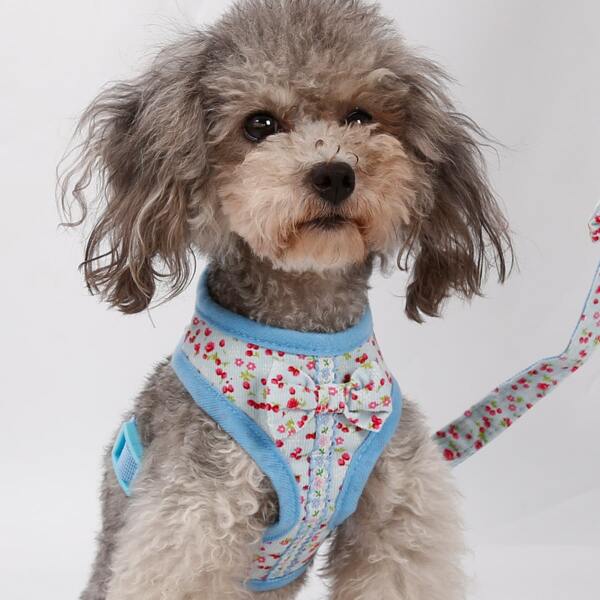 

1pc Flower Print Pet Harness & 1pc Leash, Blue