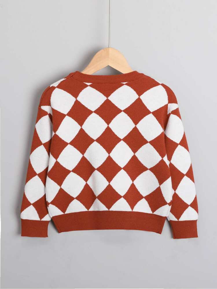 Young Boy Geo Pattern Drop Shoulder Sweater