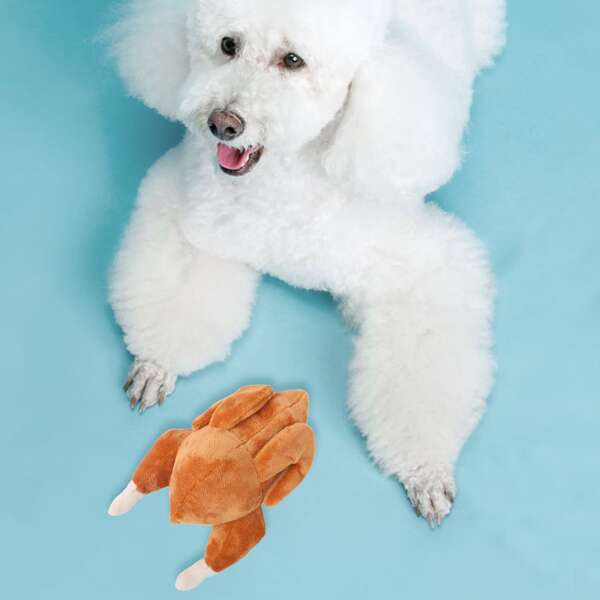 

Turkey Shaped Pet Sound Toy, Brown