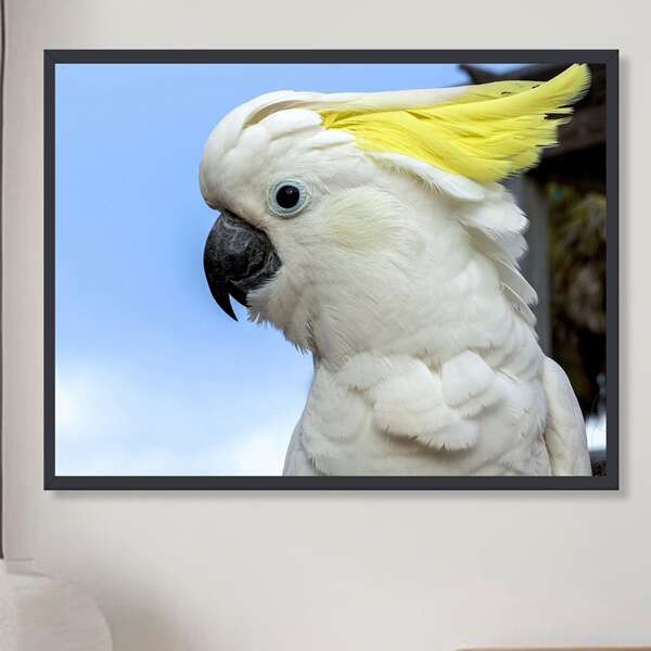 

Parrot Print DIY Diamond Unframed Painting, Multicolor