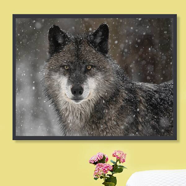 

Wolf Print DIY Diamond Unframed Painting, Multicolor
