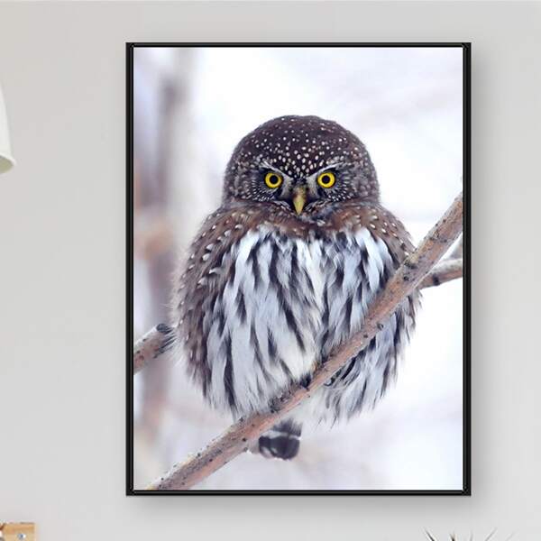 

Owl Print DIY Diamond Unframed Painting, Multicolor