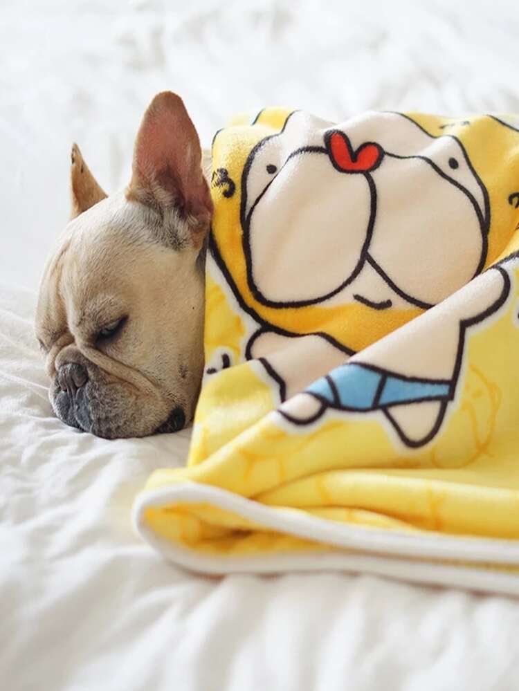 1 pieza Manta con estampado de dibujos animados al azar de mascota - Multicolor - Añade 2