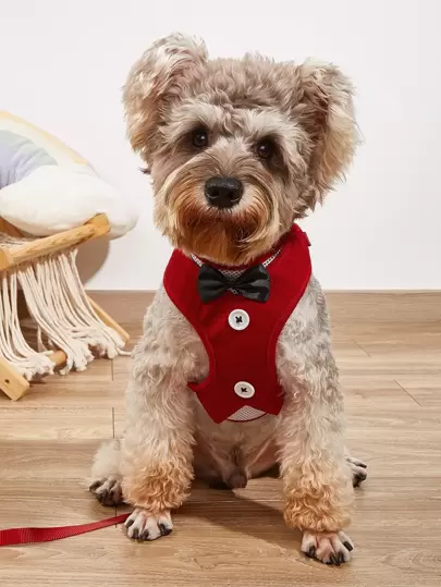 1入組蝴蝶結裝飾寵物項圈和1入組牽引繩